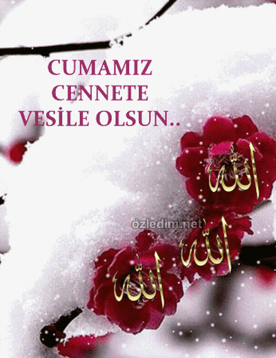cumamız cennete vesile olsun Card Red Flowers Snow