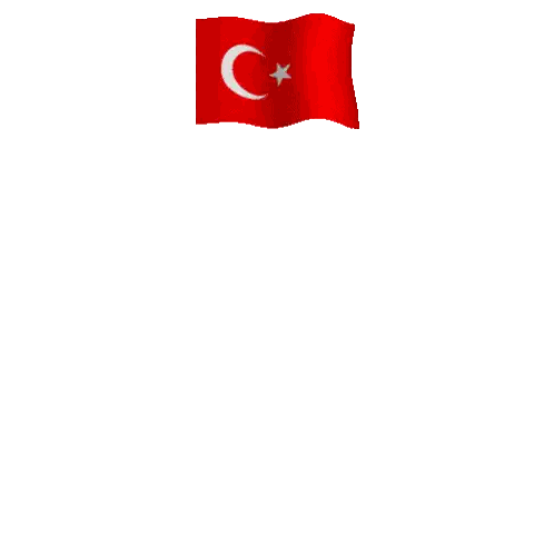 Cumhuriyetimizin 100 Logo Sticker