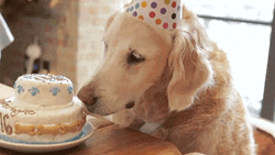 Cumpleaños GIF