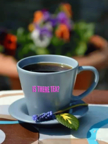 Cup Of Coffee On Saucer With Is There Tea GIF