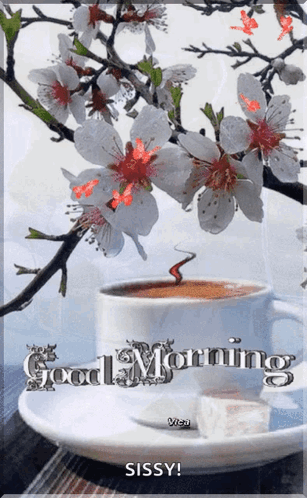 Cup Of Coffee Saying Good Morning Sissy GIF