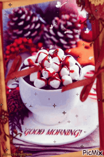 Cup of Hot Chocolate With Marshmallows and Good Morning Message