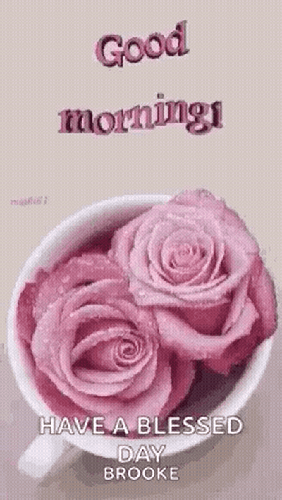 Cup Of Pink Roses Good Morning Have A Blessed Day Brooke GIF