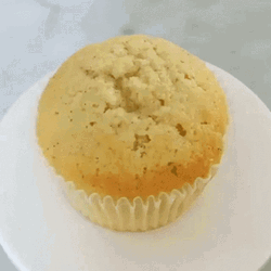 Cupcake Pandan Muffin GIF