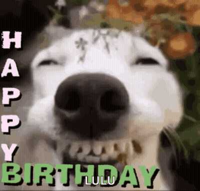Cupcake With Candle Saying Happy Birthday GIF