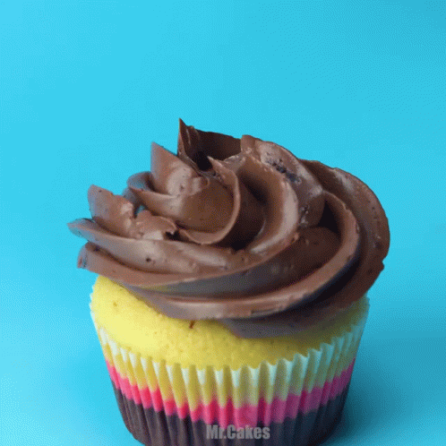 Cupcake With Chocolate Frosting Saying Mr. Cakes GIF