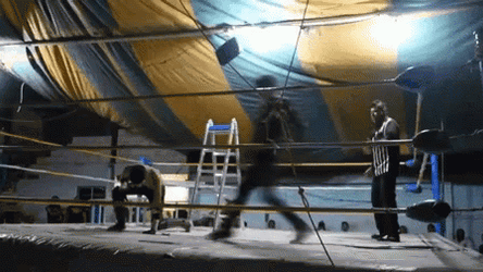 Curb Stomp In Local Court GIF