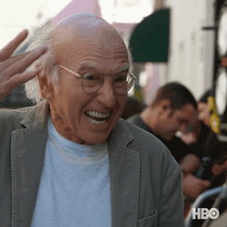 Curb Your Enthusiasm Kinda Stupid GIF