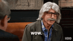 Curb Your Enthusiasm Larry David In Disguise Wow GIF