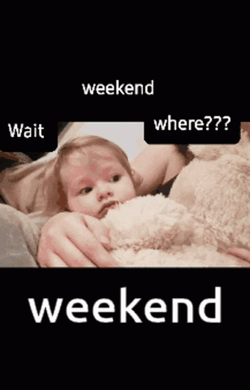 Curious Little Girl Weekend Meme GIF