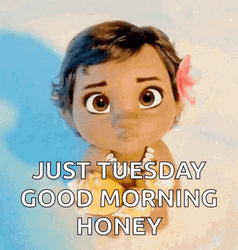 Curious Little Moana Good Morning Honey GIF