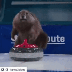 Curling GIF