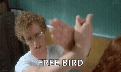 Curly Haired Man Holding Cat's Hand Free Bird GIF
