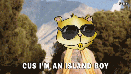 Cus I 'M An Island Boy Is Written On A Poster GIF