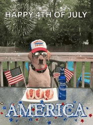 Cute American Dog Fourth Of July GIF