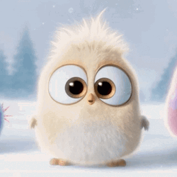 Cute Angry Birds White Snow  GIF