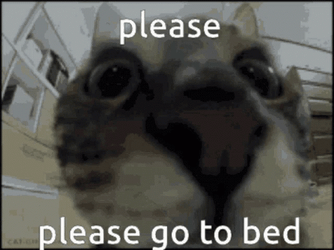 Cute Animal Please Go To Bed GIF
