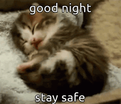 Cute Animals Good Night Cute Cat Yawn GIF