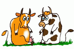 Cute Animated Cows Hugging