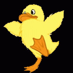 Cute Animated Duck Waddle GIF