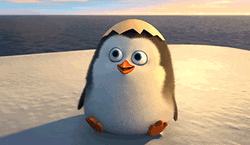 Cute Animated Penguin Waving