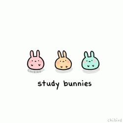 Cute Animated Study Bunnies Motivation