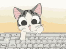Cute Anime Kitten Typing Cat GIF