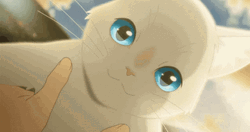 Cute Anime Whisker's Away Cat Taro