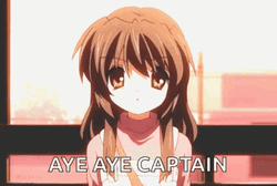 Cute Aye Aye Captain GIF