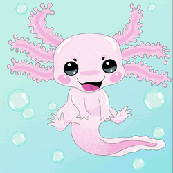 Cute Baby Axolotl