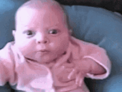 Cute Baby Kung Fu GIF