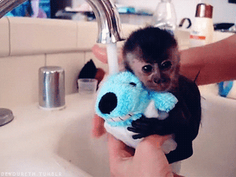 Cute Baby Monkey Taking A Bath GIF