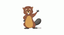 Cute Beaver Waving Flattened GIF