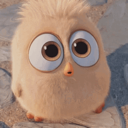Cute Bird Stick Tongue Out GIF