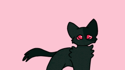 Cute Black Warrior Cats GIF