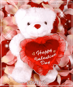 Cute Blinking Stuffed Bear Happy Valentines Day GIF