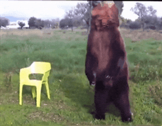 Cute Brown Bear Playing Bugle GIF