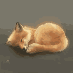 Cute Brown Fox Sleeping Soundly