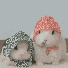 Cute Bunnies Eating With Headdress GIF
