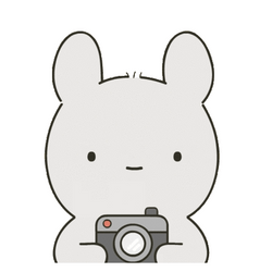 Cute Bunny Snapping Picture GIF