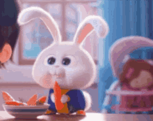 Cute Bunny Snowball Life Of Pets Eating Carrot