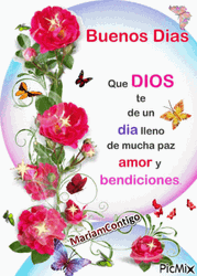 Cute Butterflies Bendecido Dia GIF