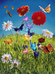 Cute Butterfly Garden Of Flowers GIF