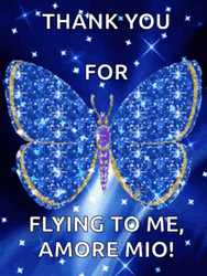 Cute Butterfly Thank You GIF