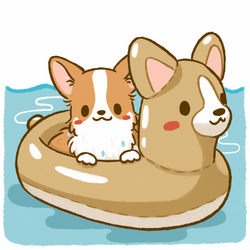 Cute Cartoon Corgi In Pool GIF