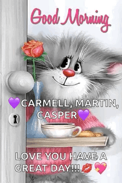 Cute Cat Animated Good Morning Monday Humor GIF