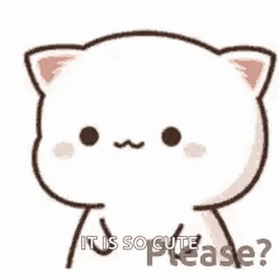 Cute Cat Asking If It Is So GIF