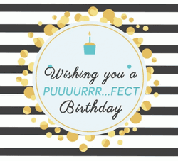 Cute Cat Birthday Message Text Design GIF