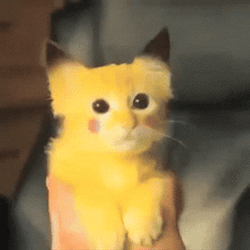 Cute Cat But Lightning Pikachu GIF