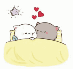 Cute Cat Cuddle In Bed GIF